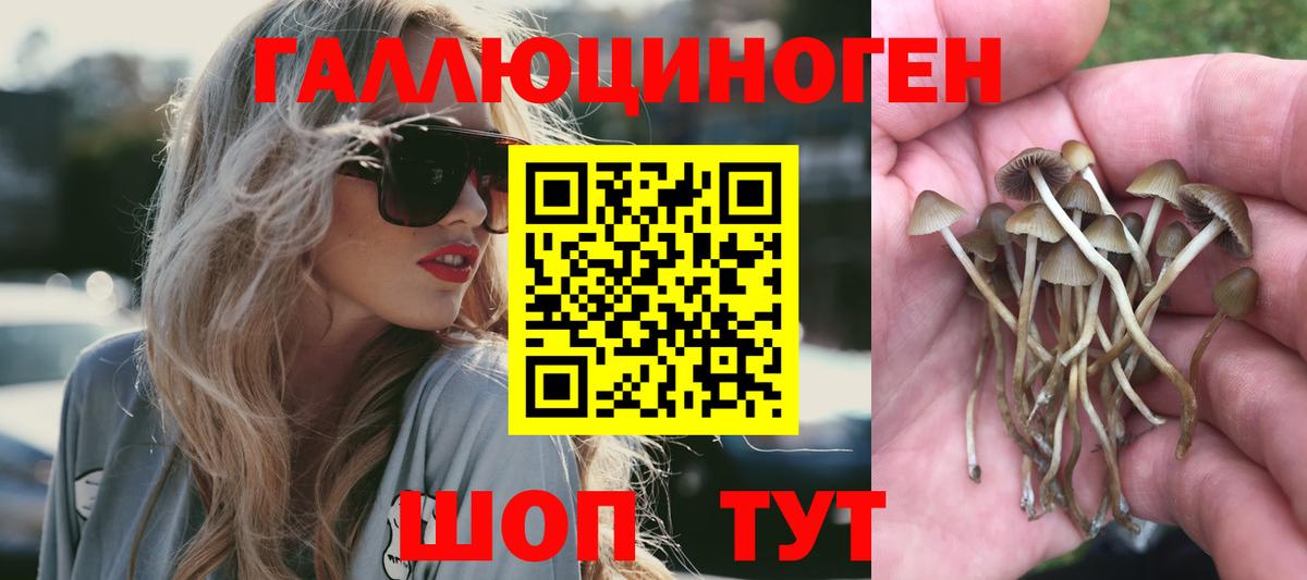 Галлюциногенные грибы Psilocybe  Вход с VPN  Когалым 